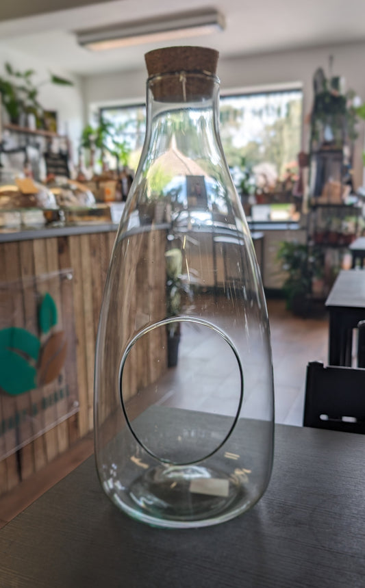 Terrarium Bottle with Cork lid Open space