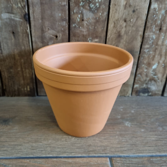Terracotta 15.5cm Pot